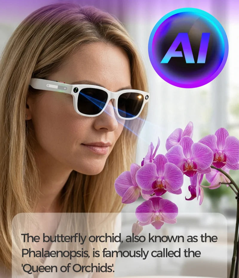 AI Smart Glasses AI Translation 8MP HD Camera 4K Shooting Image Conversation Recording Listening To Music Smart Glasses 2026 New